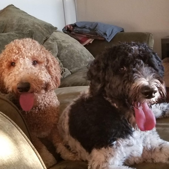 Mile High Moda ~ Fashion from the Mile High City of Denver - Picture 3 of 8